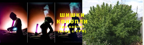сатива Зеленокумск