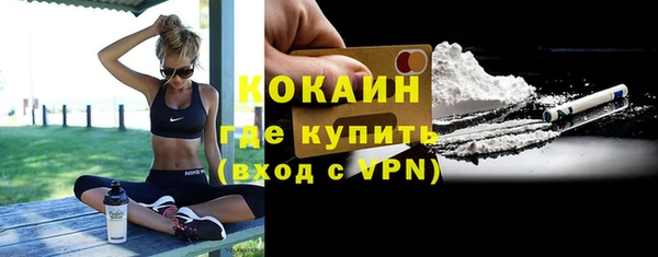 сатива Зеленокумск