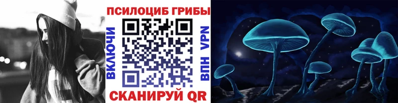 Галлюциногенные грибы Cubensis купить наркотики сайты Ярославль