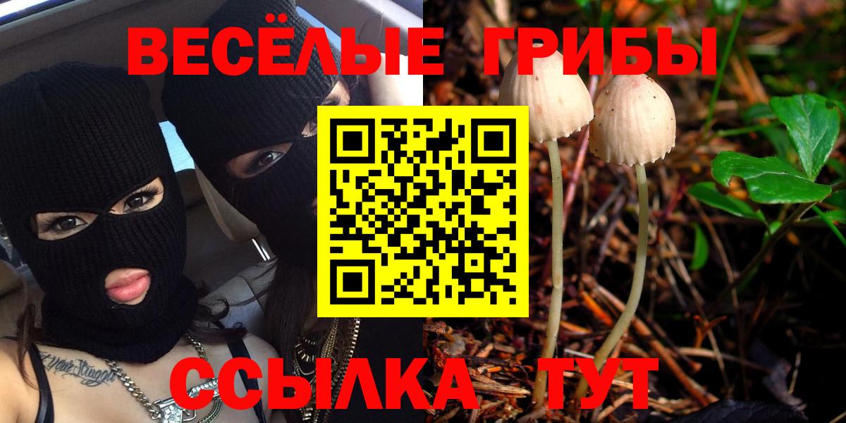 Ярославль  Галлюциногенные грибы прущие грибы  Галлюциногенные грибы Cubensis  Вход с VPN 