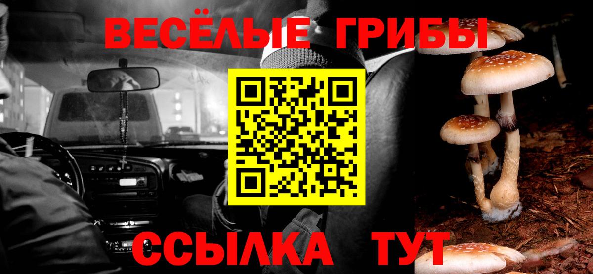 Псилоцибиновые грибы Cubensis Ярославль